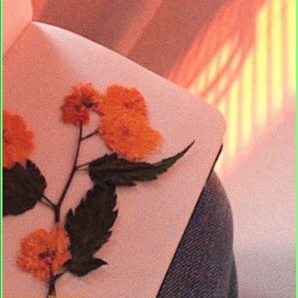 Meet your Posher, Candy - Picture 1 of 1